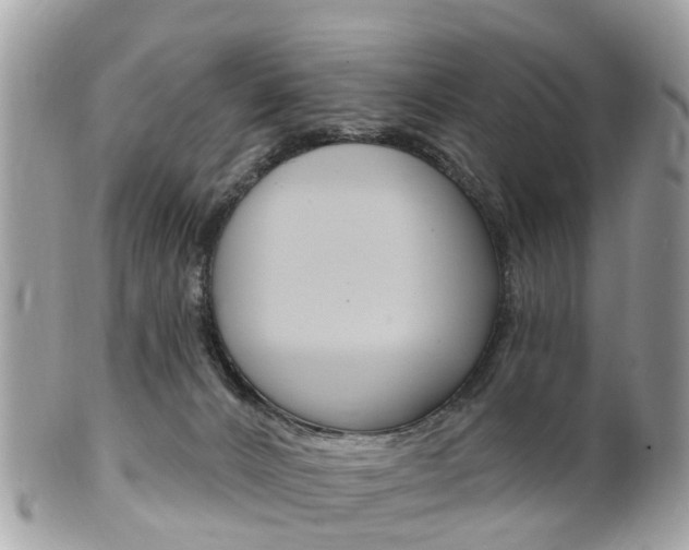 X0000102000032200807180858