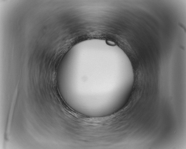 X0000102000033200807180858