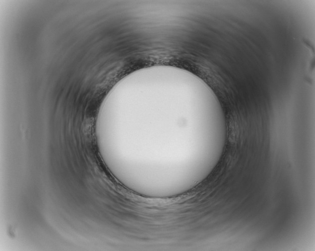 X0000102000034200807180858