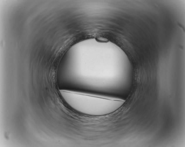 X0000102000036200807180858