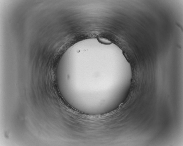 X0000102000037200807180858