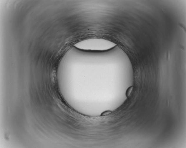 X0000102000038200807180858