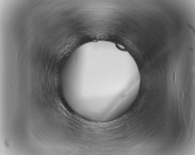 X0000102000039200807180858