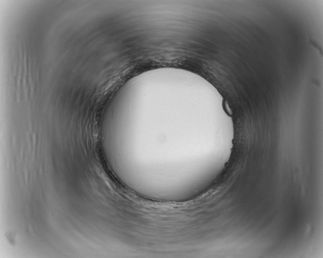 X0000102000040200807180858