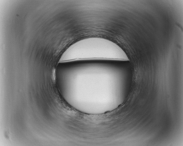 X0000102000041200807180858