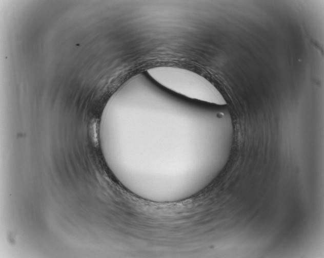 X0000102000042200807180858