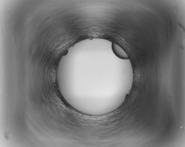 X0000102000043200807180858