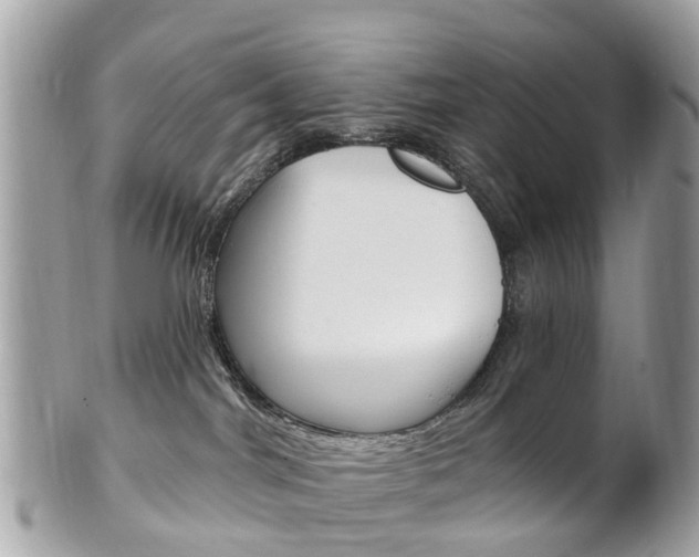 X0000102000044200807180858