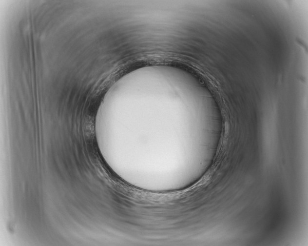 X0000102000048200807180858