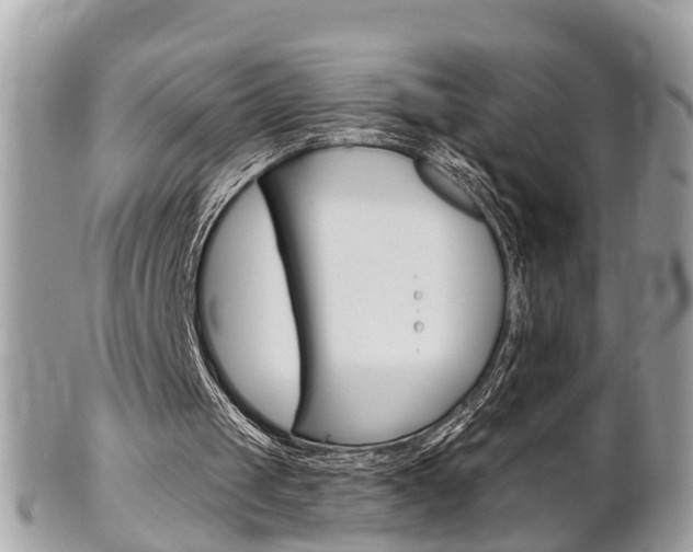 X0000102000049200807180857