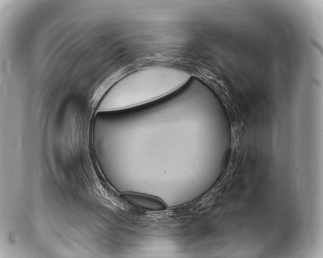 X0000102000051200807180858