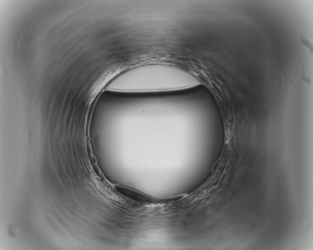 X0000102000052200807180858