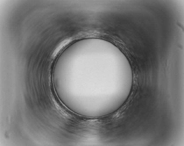 X0000102000054200807180858