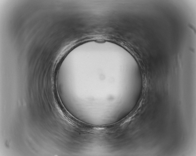 X0000102000055200807180858