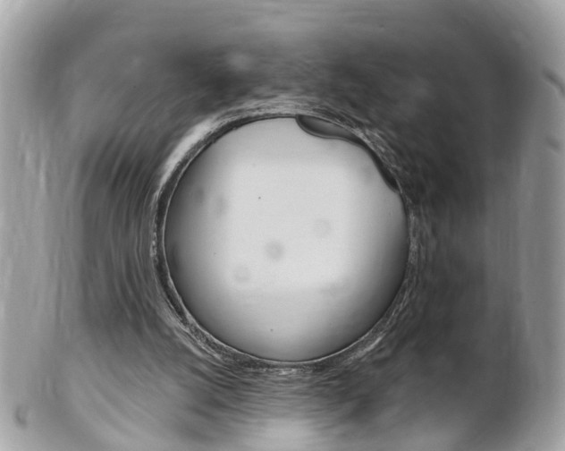 X0000102000056200807180858