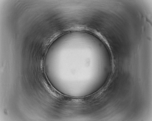 X0000102000057200807180858