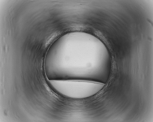 X0000102000058200807180858