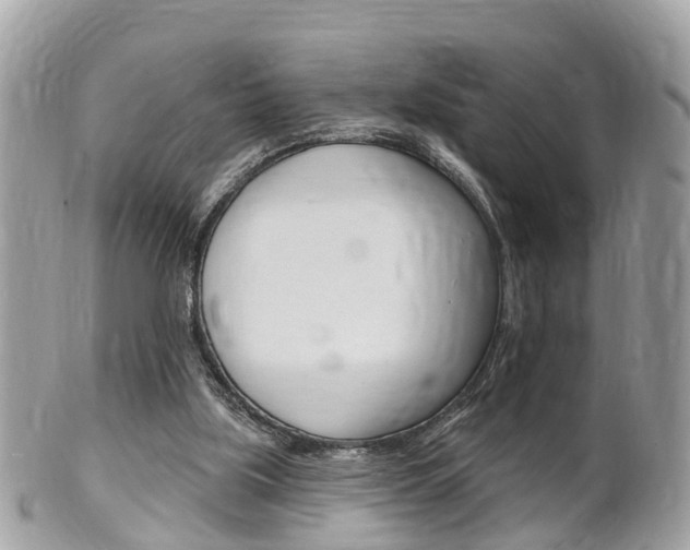 X0000102000059200807180858