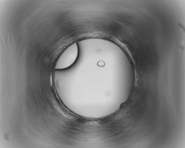 X0000102000061200807180858