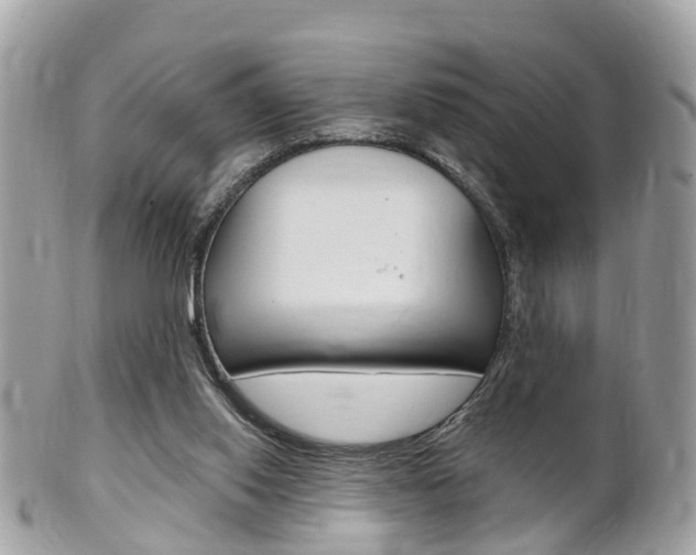 X0000102000062200807180858