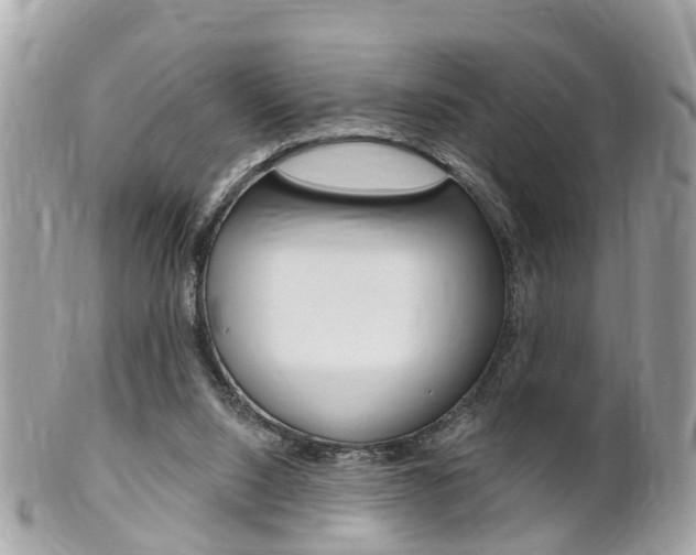 X0000102000064200807180858