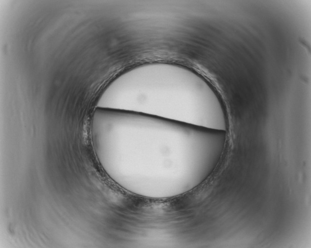 X0000102000065200807180858