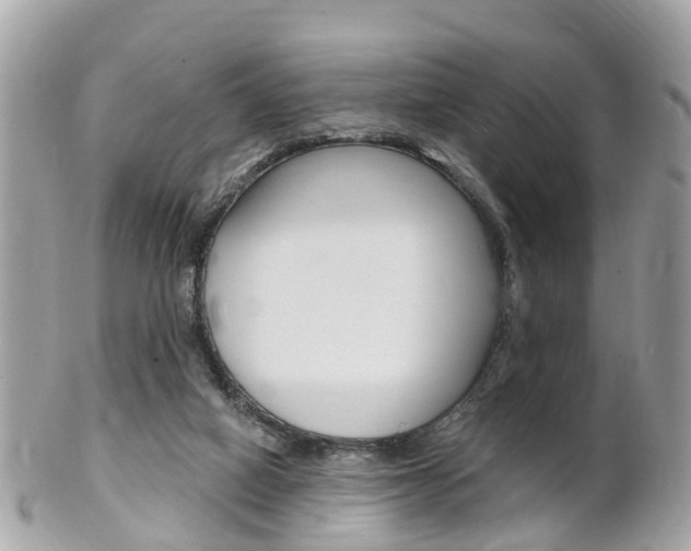 X0000102000066200807180858