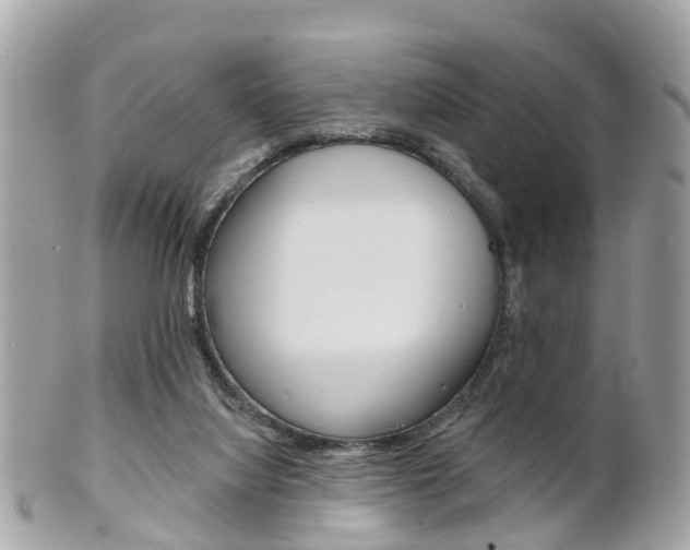 X0000102000068200807180858