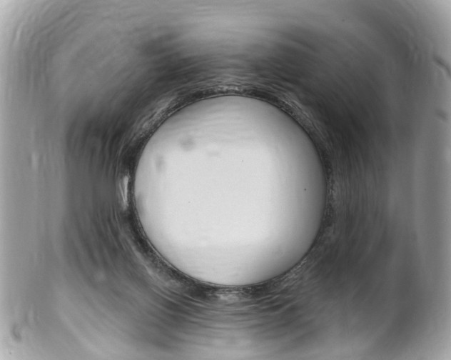 X0000102000070200807180858