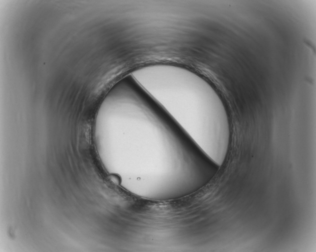 X0000102000071200807180858