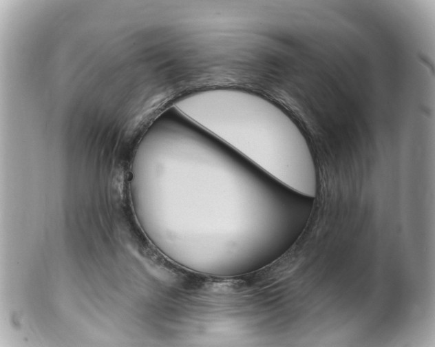 X0000102000072200807180858