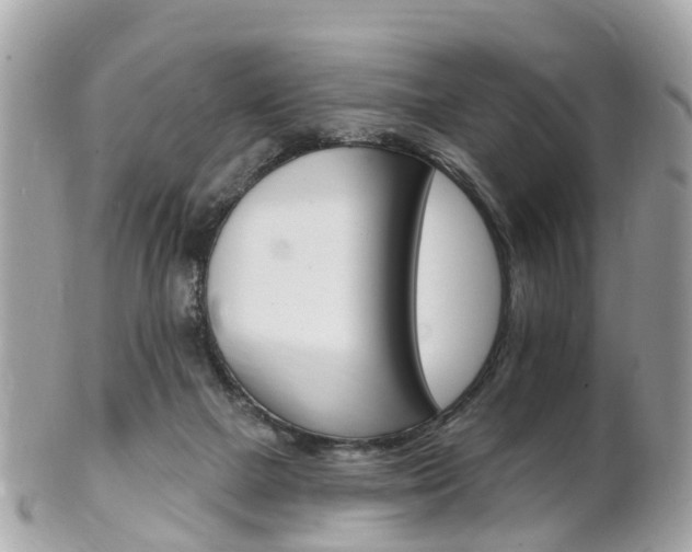 X0000102000073200807180858