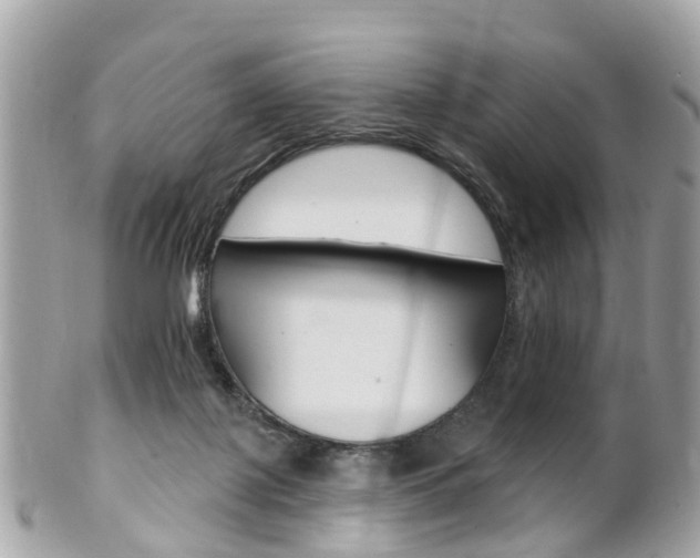 X0000102000075200807180858