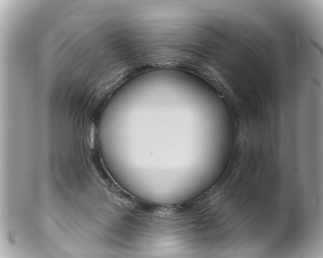 X0000102000076200807180858