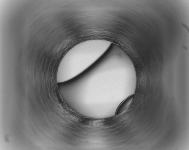 X0000102000078200807180858