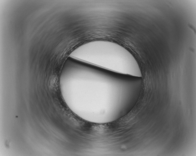 X0000102000079200807180858