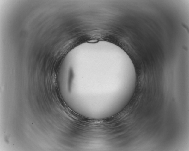 X0000102000081200807180858