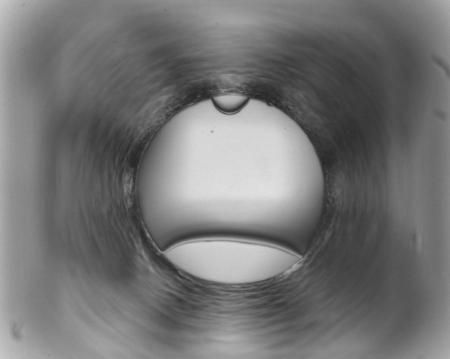 X0000102000082200807180858