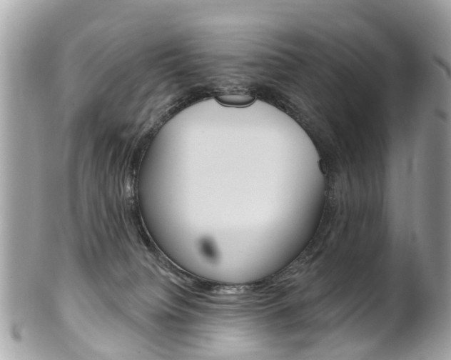 X0000102000084200807180858