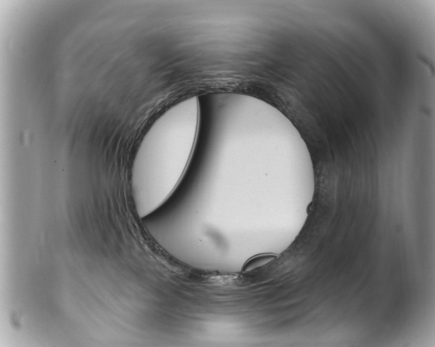 X0000102000089200807180858