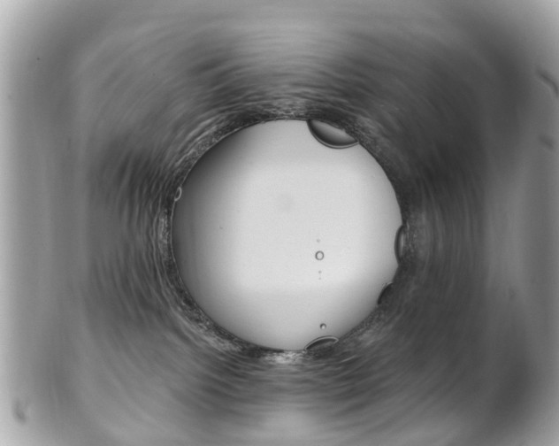 X0000102000092200807180858