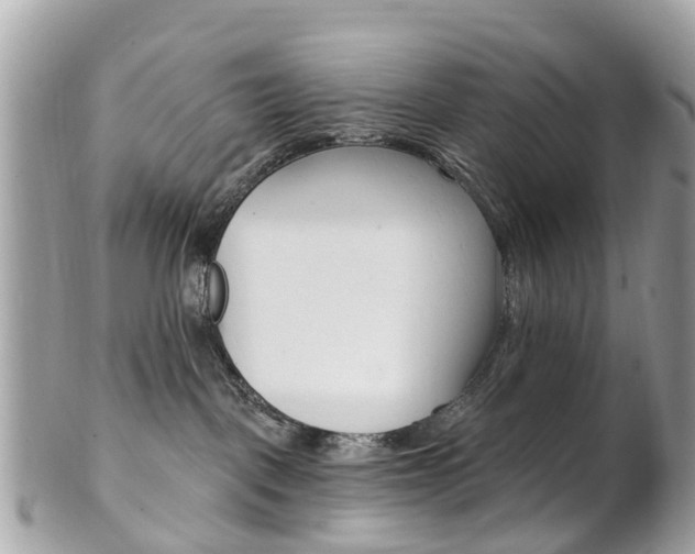 X0000102000093200807180858