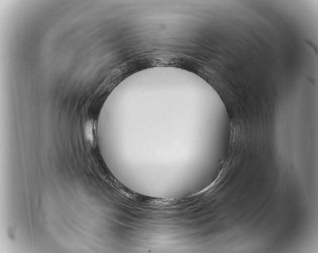 X0000102000094200807180858