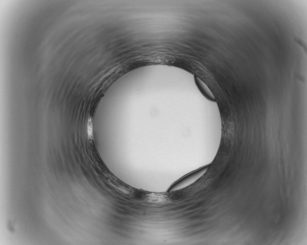 X0000102000095200807180858