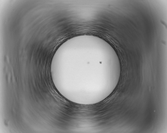 X0000102000096200807180858