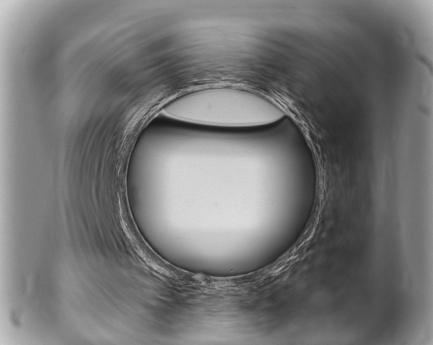 X0000102000097200807180857