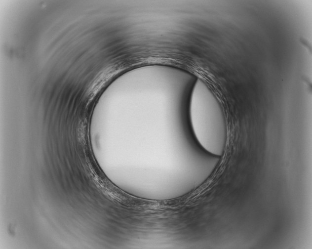 X0000102000098200807180857