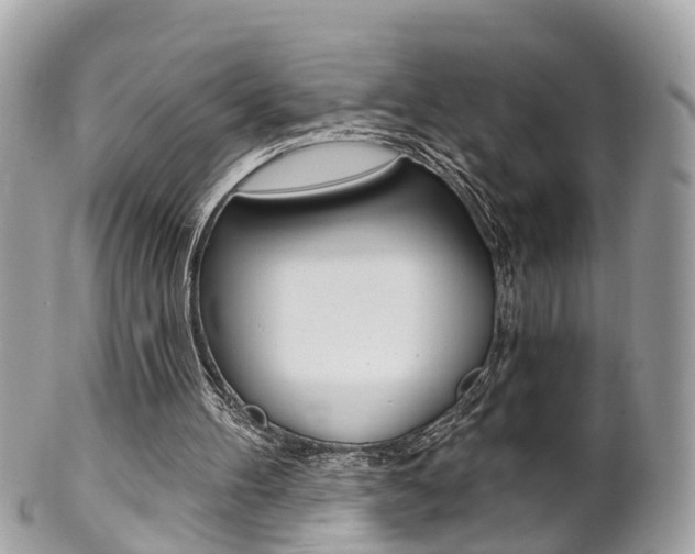 X0000102000100200807180857