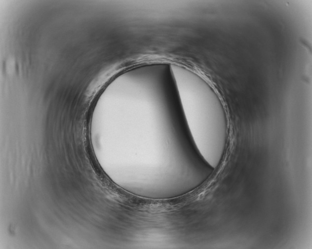 X0000102000103200807180857