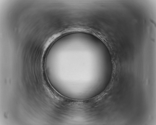 X0000102000104200807180857